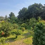 Tropical Garden Prime Accommodation