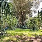Tropical Garden Prime Accommodation